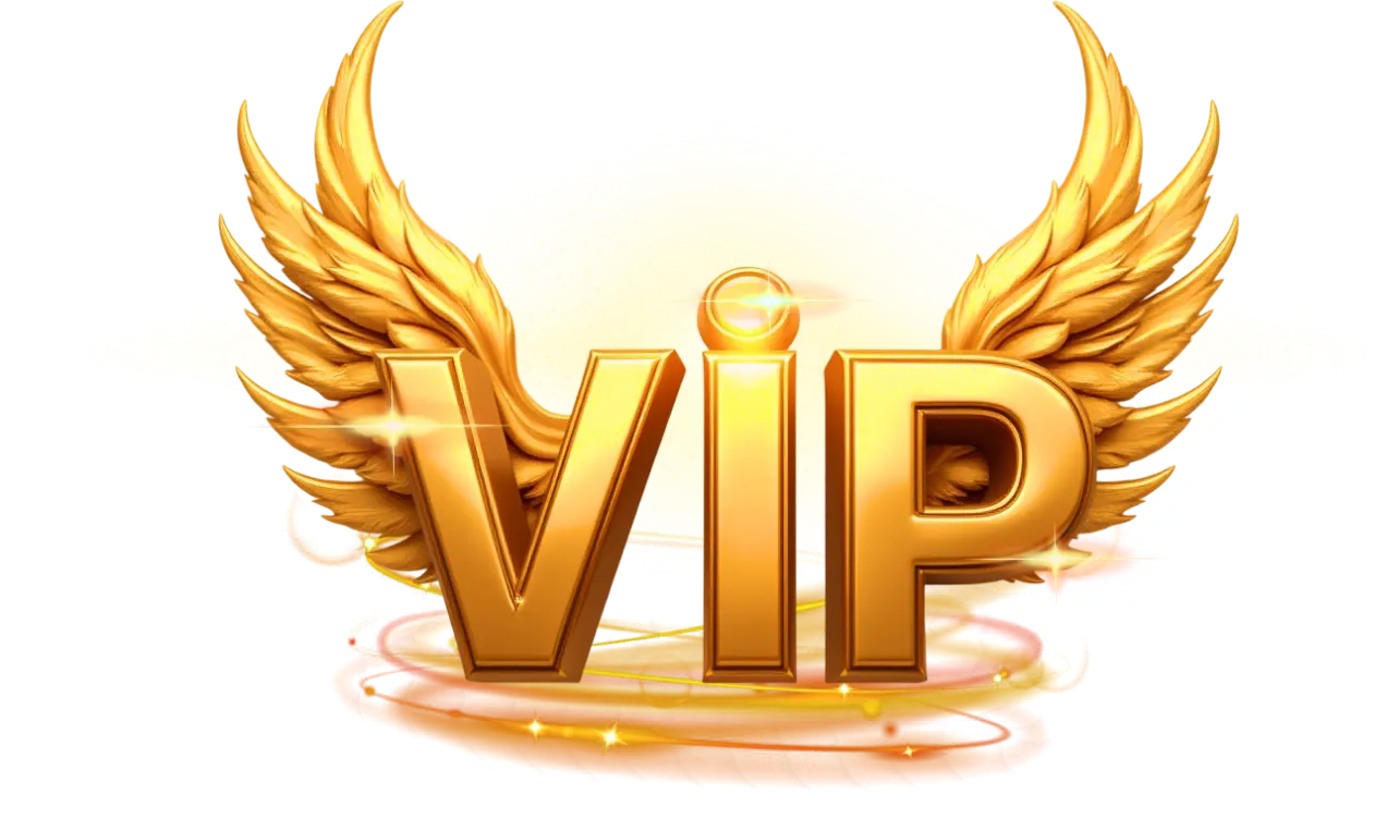 VIP Transfer Program